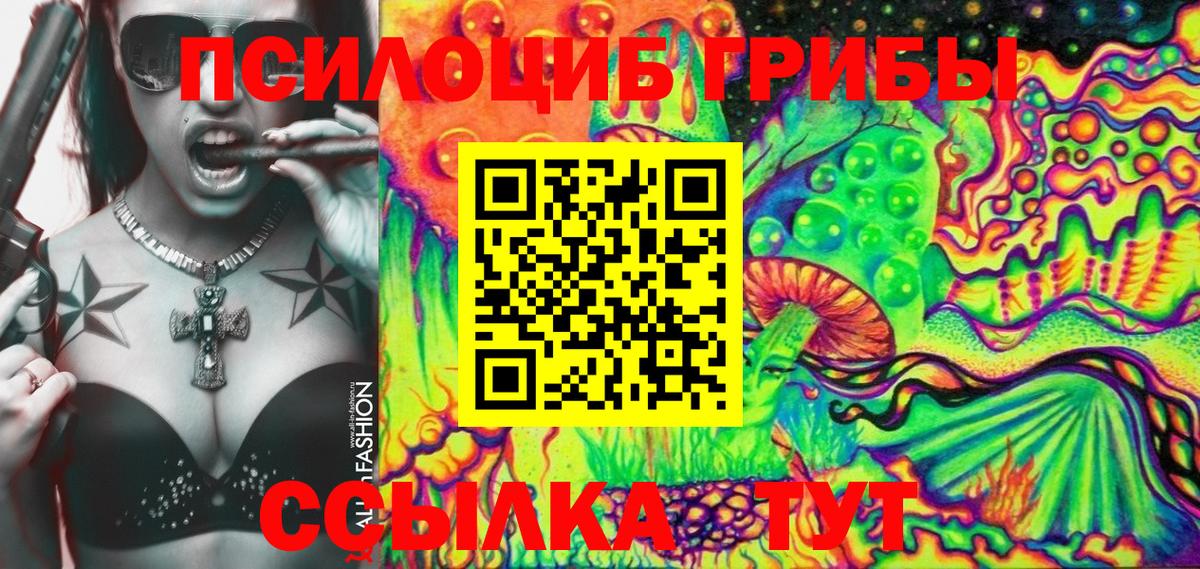 Вязники  Галлюциногенные грибы MAGIC MUSHROOMS  Псилоцибиновые грибы MAGIC MUSHROOMS  Вход с VPN 